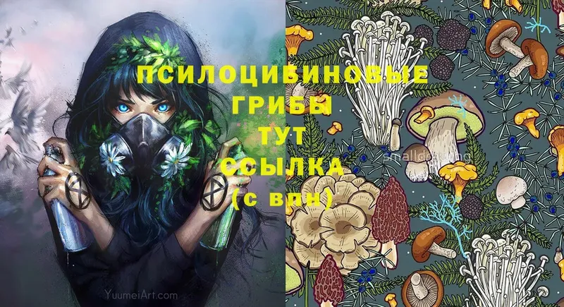 Галлюциногенные грибы Cubensis  Ивдель 